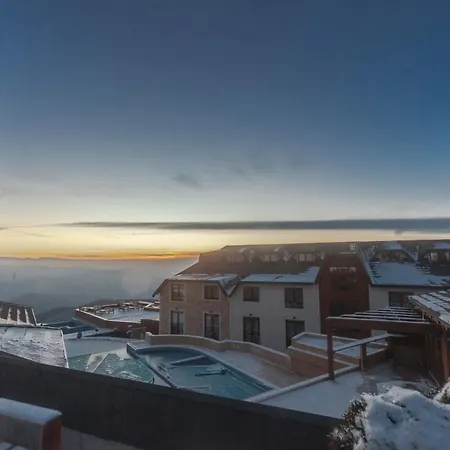 Snow Oasis